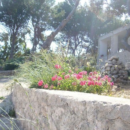 Villa Aquarium Gagliano del Capo Dış mekan fotoğraf